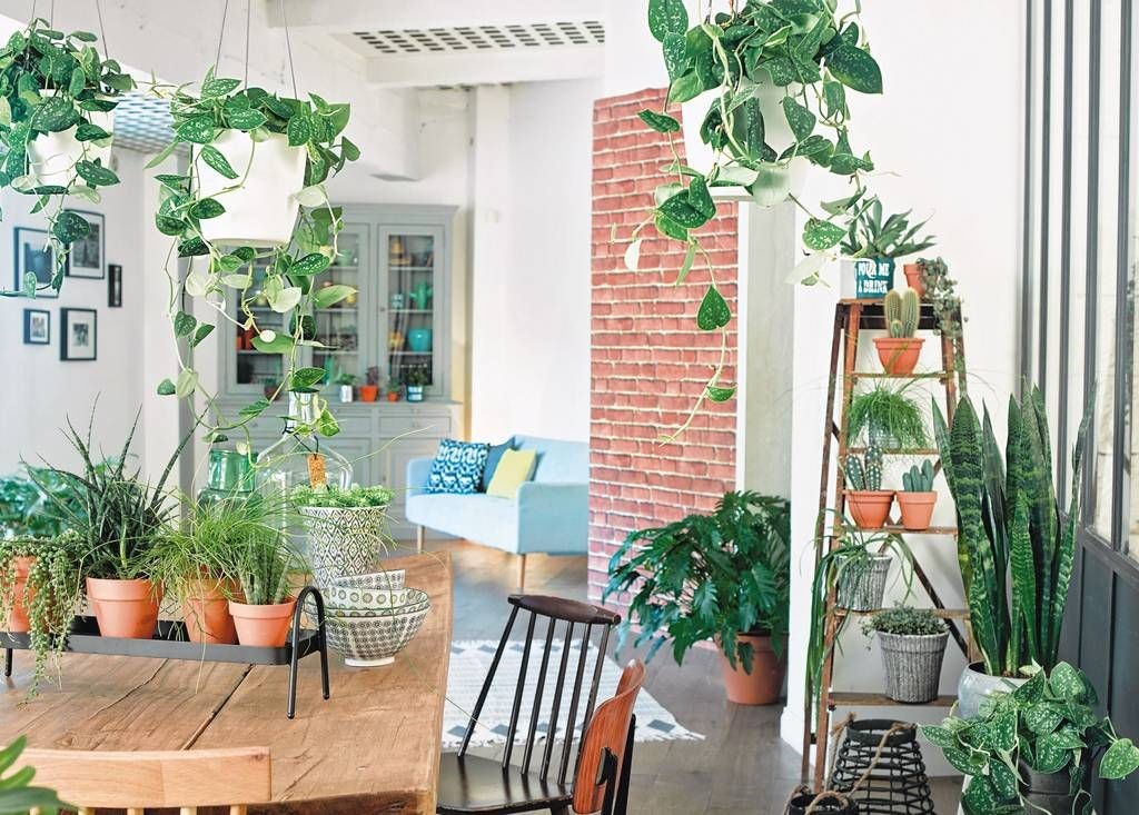 Enjoy Green Living with Indoor Gardening