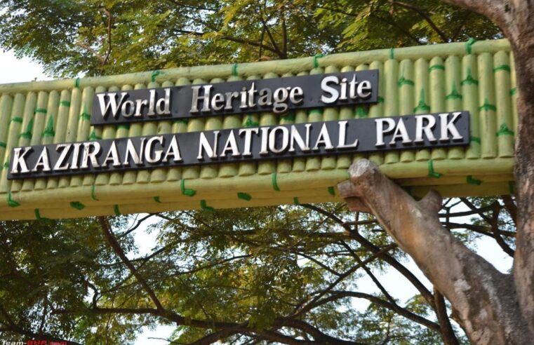 World heritage site Kangiranga national park