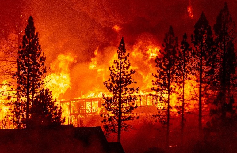 Western Province in America: Battle with Wildfires