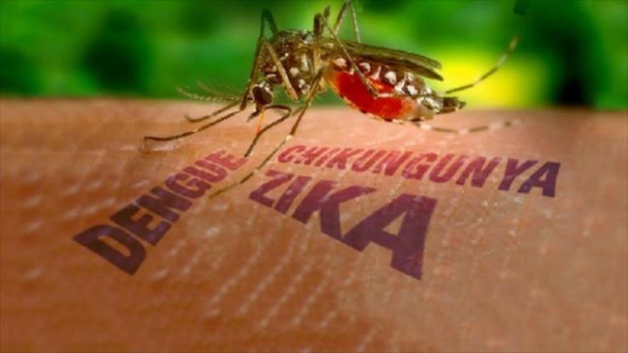 Zika Virus: Symptoms and Treatment