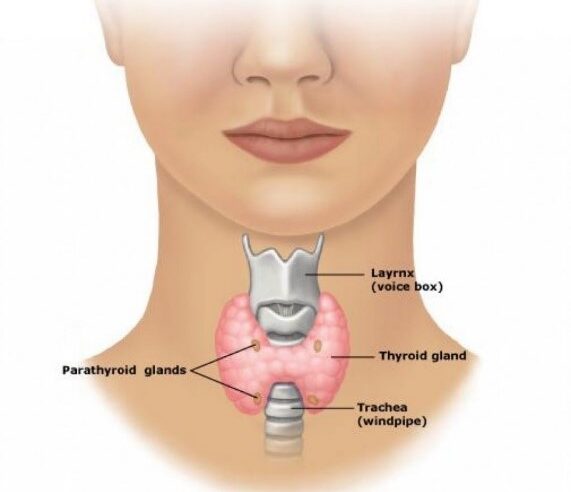 Thyroid Awareness month