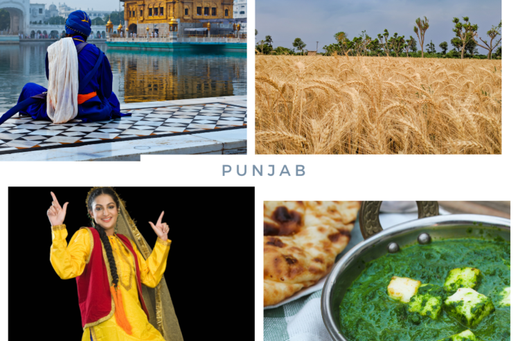 Punjab Culture