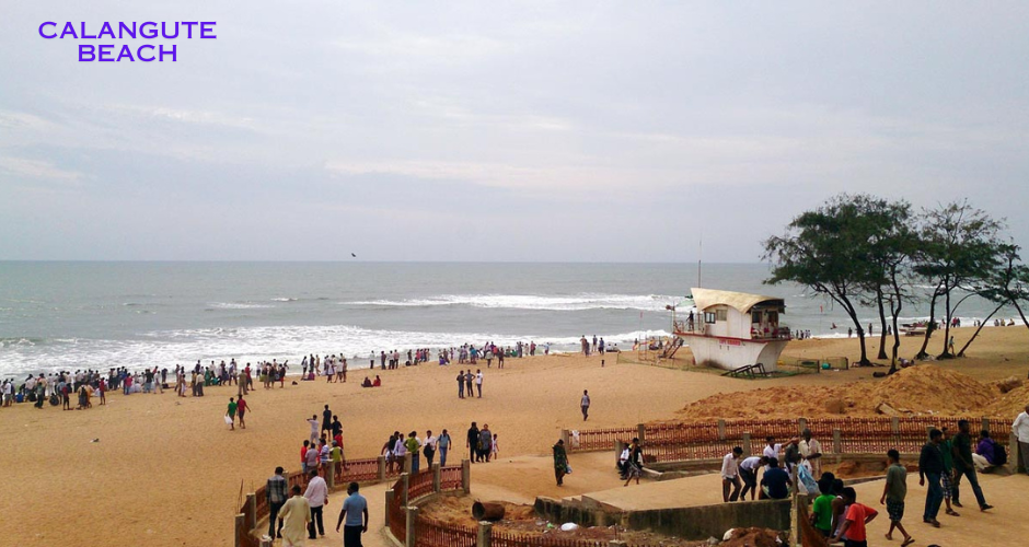 Calangute Beach of Goa