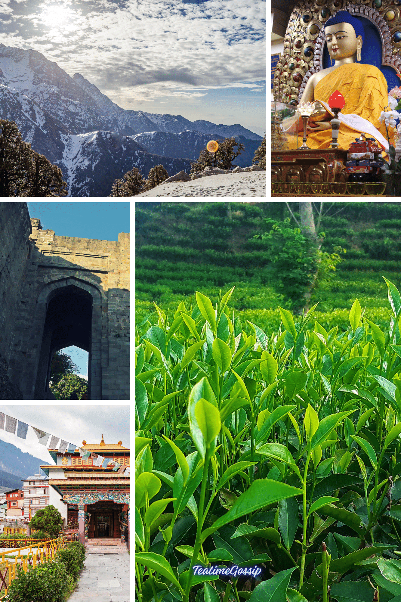 Top things to do in Dharamshala