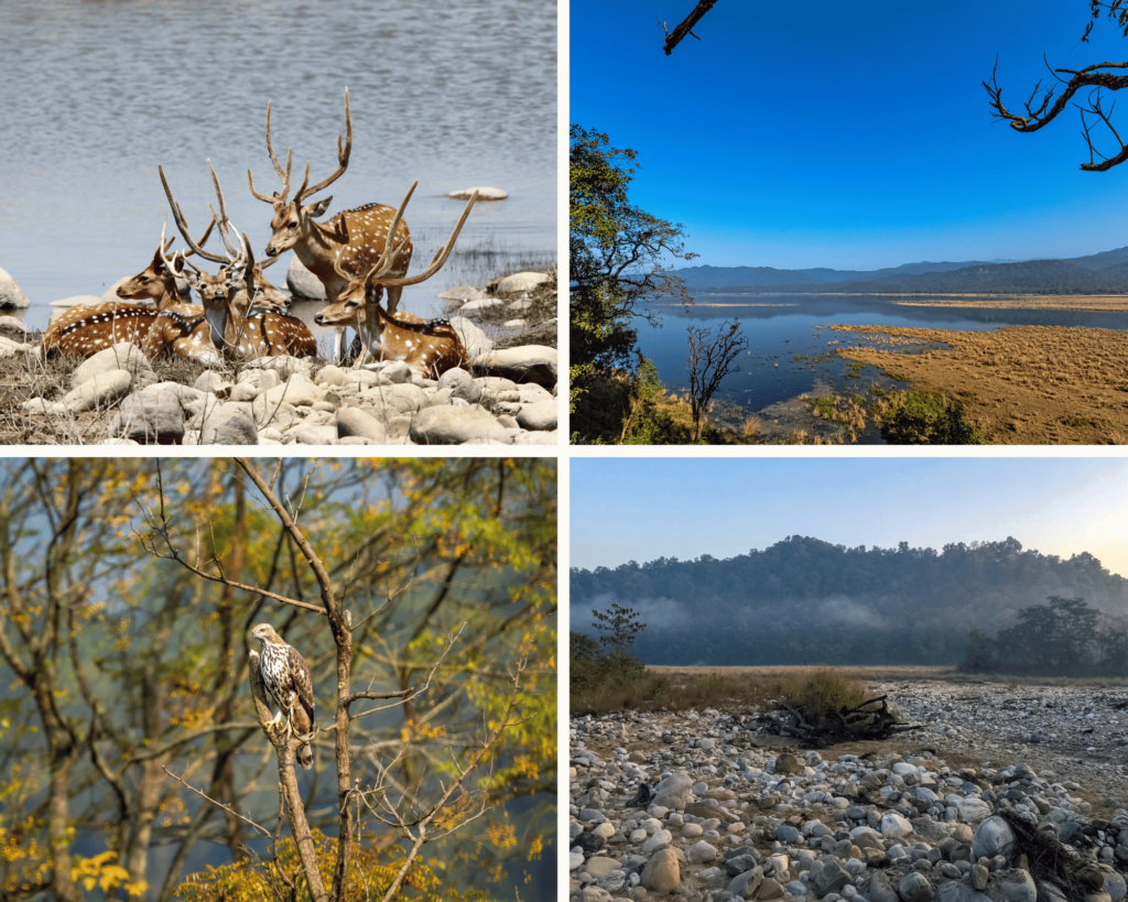 Historical Background of Jim Corbett National Park