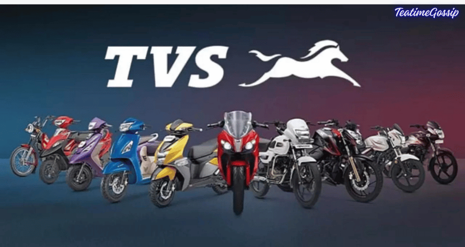 TVS Portfolio