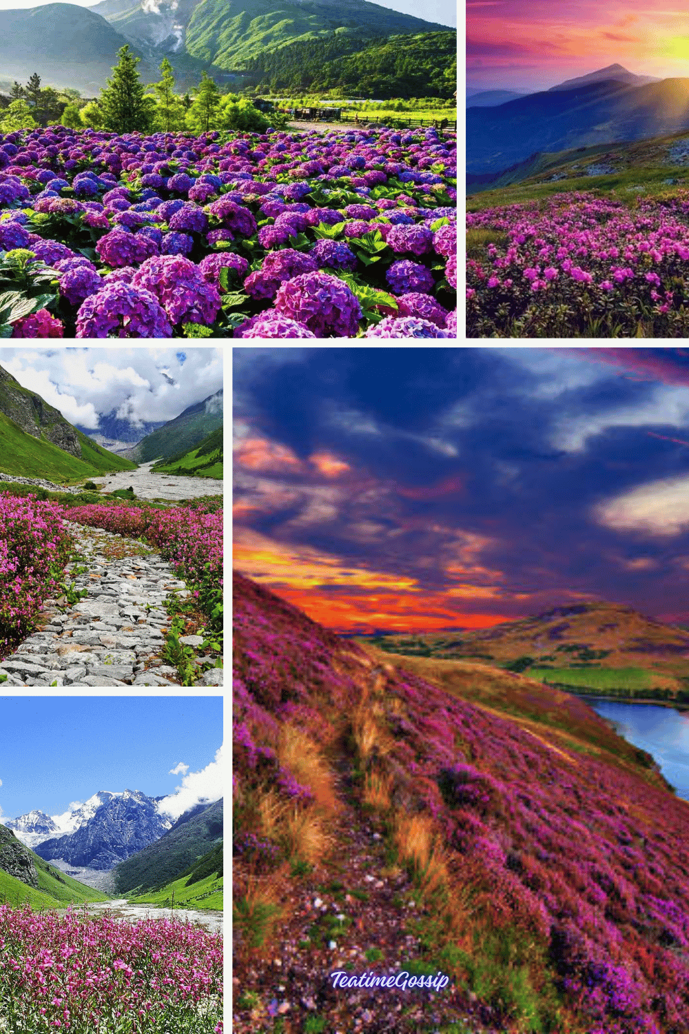 Valley of Flowers: A UNESCO World Heritage Site